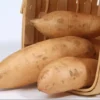 15 White Sweet Potato Slips