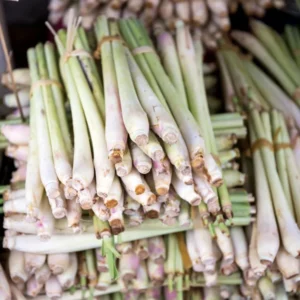 Lemongrass Plants Live - 15 Pack, Established Roots, Outdoor/Indoor Perennial, Zones 9-11